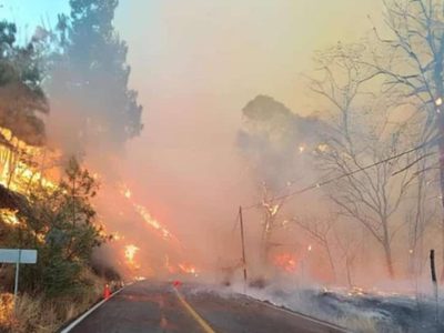 Aplican Plan DN-III por incendios en Tejupilco que han afectado 500 hectáreas en tres días