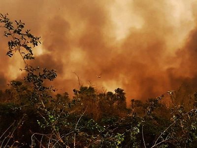 Bolivia declara la emergencia nacional por los incendios forestales