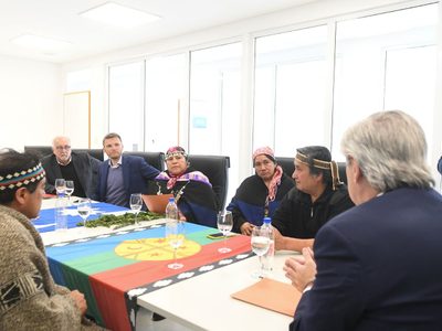 El Gobierno le entregará hectáreas de tierras fiscales a una comunidad mapuche del sur del país