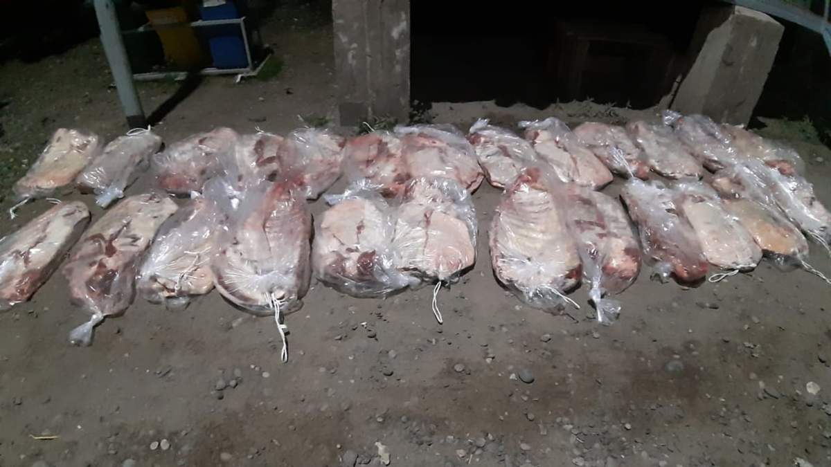 Carne decomisada en Puente Dique Fuente: (Twitter)