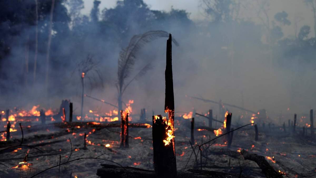Tierra incendiada. Fuente: (Twitter)