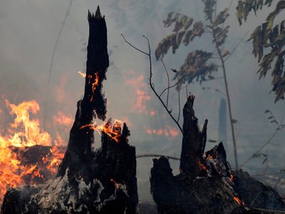 El fuego de la Amazonia alcanza a Bolsonaro