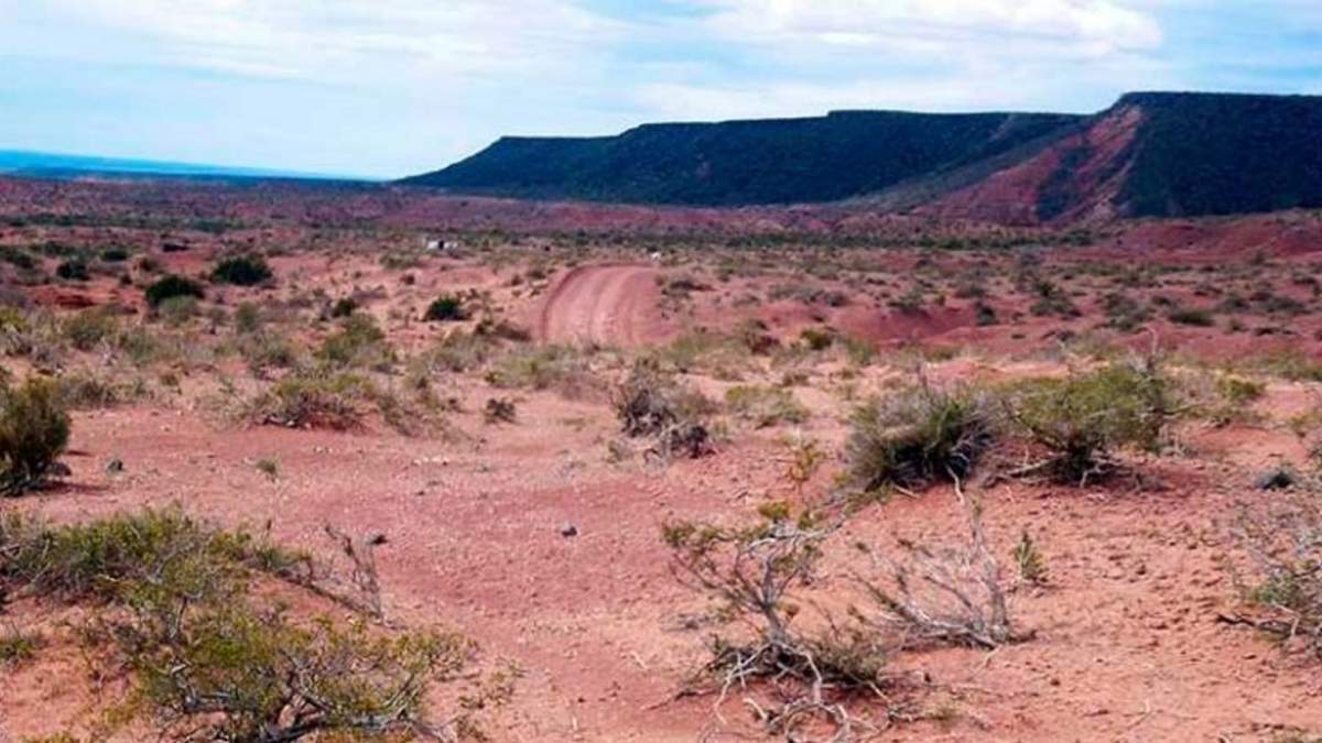 El hecho ocurrió en el paraje ubicado a 20 km de Zapala. Fuente: (Twitter).