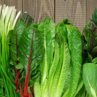 Temporada de acelga y espinaca: cómo guardar tus verduras de hoja para que se conserven hasta 15 días en la heladera