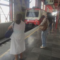 Tren Suburbano al AIFA inicia operaciones: horarios, tarifa y estaciones