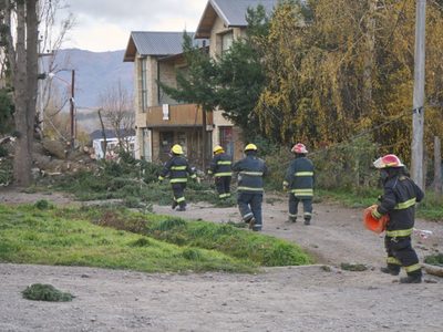 Lo que el viento dejó: por el temporal hubo árboles caídos y cortes de luz en Neuquén