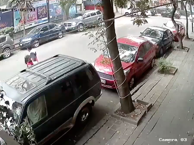 Una pareja se salva de ser aplastada por la caída de un árbol en la CDMX (Video)