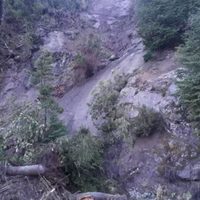 “Se están talando árboles como nunca antes en la historia de Villa La Angostura”