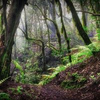 UE da luz verde a la ley de biodiversidad pese a protestas agrícolas