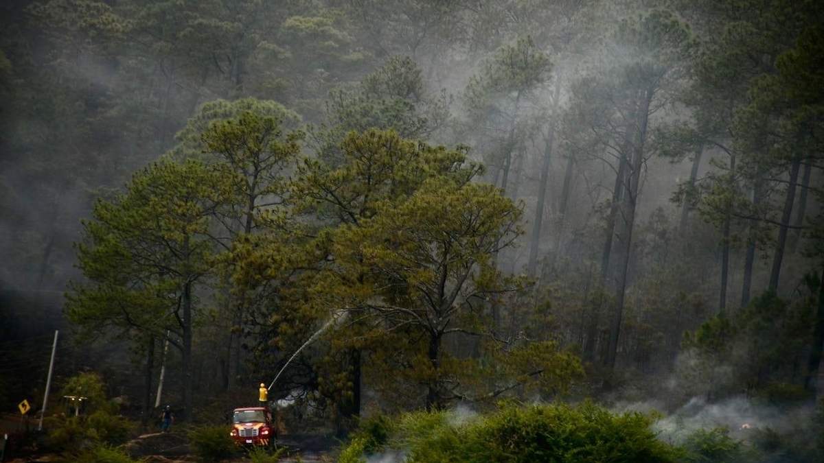 Incendio eb los parajes del Carrizal y Tilia, en Tapalpa, además del paraje Ciénega, en Atemajac de Brizuela