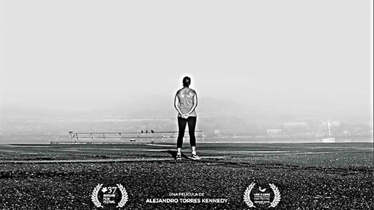 "Transición", de Alejandro Torres Kennedy