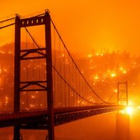 Greenpeace alerta que el fuego ha arrasado en California la mayor superficie de su historia