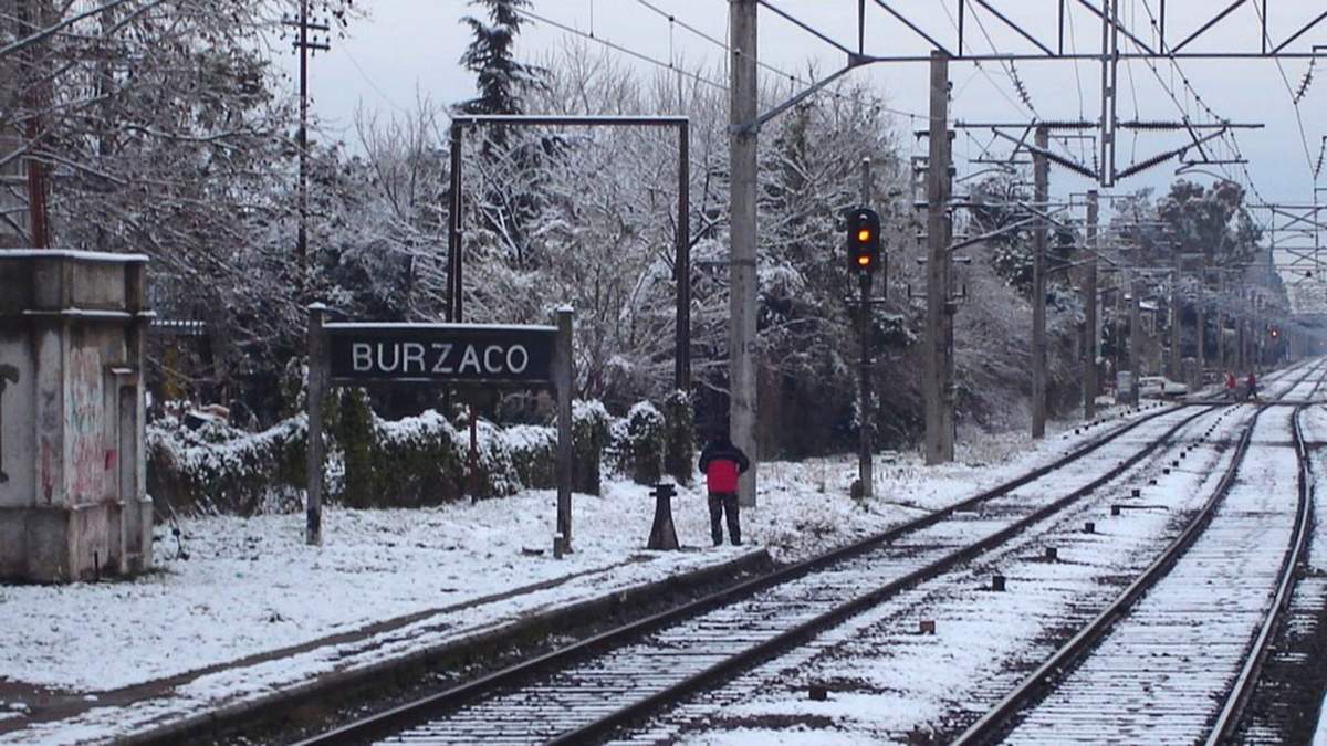 Nieve sobre la provincia de Buenos Aires. Fuente: (Twitter)