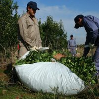 Paritarias: trabajadores del rubro agrario fijaron un sueldo mínimo de $100.000