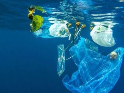 GloLitter, el proyecto para disminuir la basura marina en el mundo