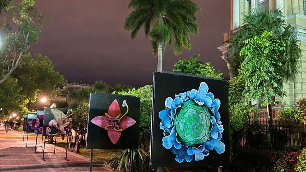"La inteligencia de las flores", de Silvia Andrade.
