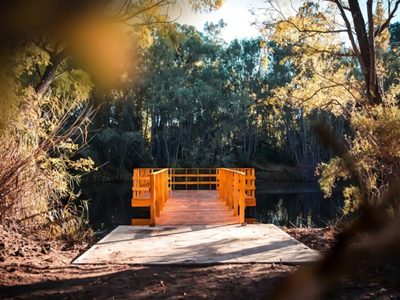 Habilitarán un pulmón verde a metros del centro de Plottier