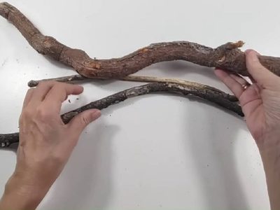 Aprovechá el invierno para guardar ramas secas: creá esta maceta colgante y rústica, con toda la onda para tu jardín