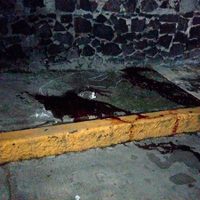 Asesinan a dos hombres en la delegación Coyoacán