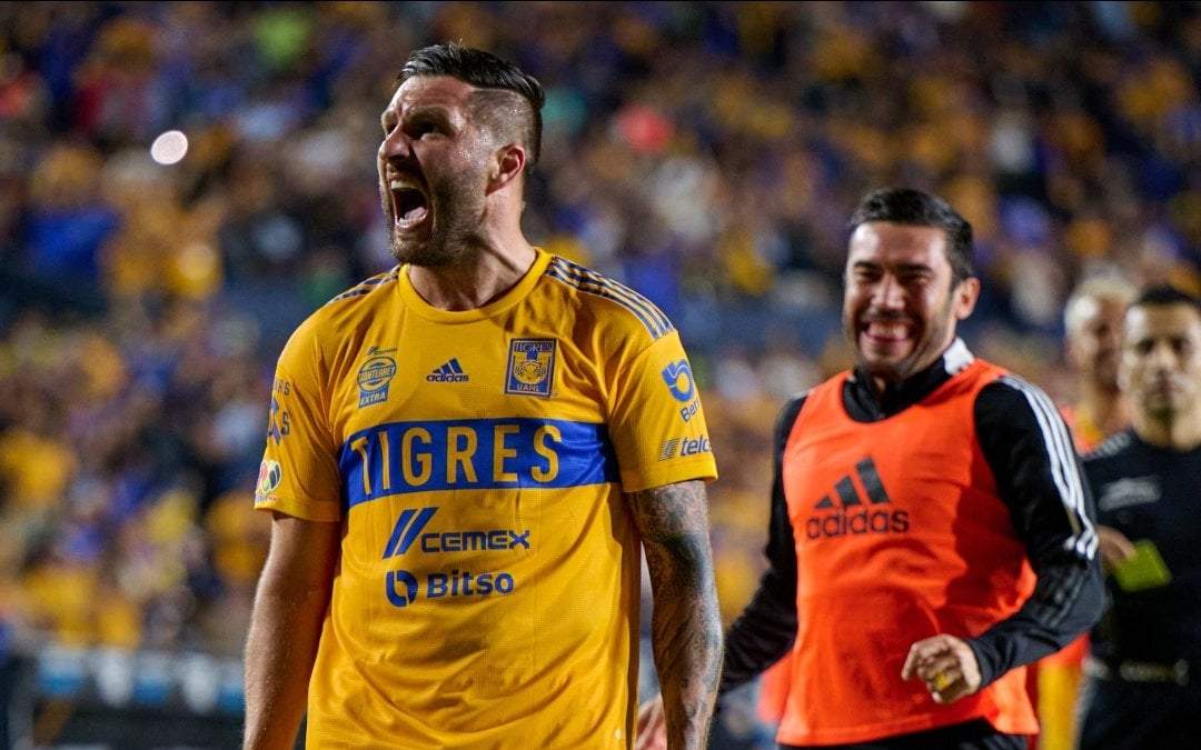 Festejo del gol del Tigres vs Necaxa