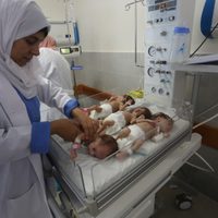 Bebés evacuados de Gaza llegan a Egipto