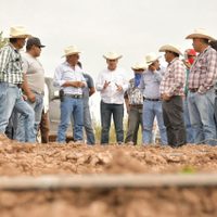 Con liderazgo de Gobernador Durazo se fortalece el campo sonorense; crece 18% actividad primaria