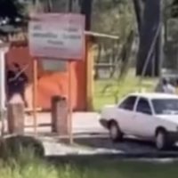 Dueños de un restaurante en la Picacho-Ajusco propinan golpiza a un perro (Video)