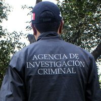 Rescatan en Chiapas a 244 loros cara blanca; hay un detenido