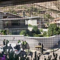 Hostigamiento a embajada mexicana en Bolivia, ni en las peores dictaduras: Reyes-Zúñiga