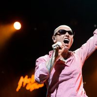 Herederos de Sinéad O'Connor piden a Donald Trump no usar su música