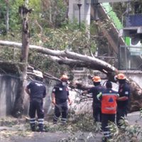 Emiten alerta amarilla en 12 alcaldías de la CDMX por vientos de hasta 59 km por hora