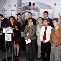 Déjense de 'críticas tontas” al presidente por los feminicidios: Nestora Salgado