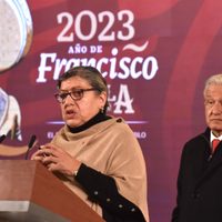Cercana a AMLO y a Morena, Teresa Reyes renuncia a la Comisión Nacional de Búsqueda