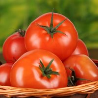 Modificaron genéticamente unos tomates para que produzcan tanta vitamina D como dos huevos