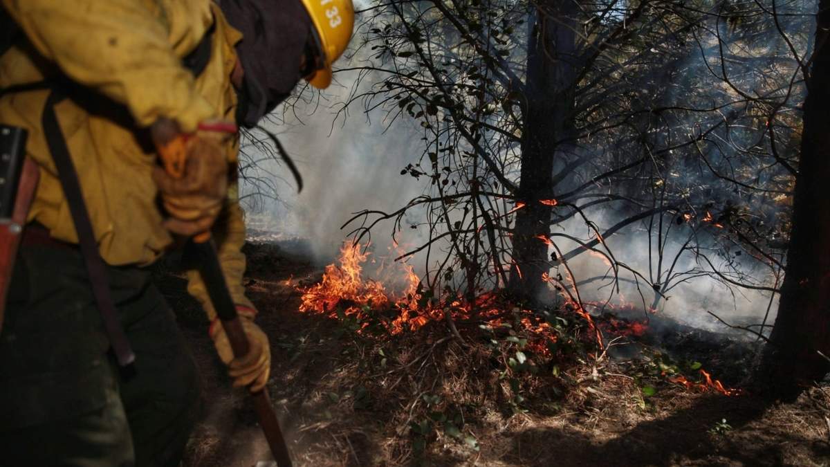 Bomberos y brigadistas trabajan en el combate de los incendios forestales. Fuente: (Argentina.gob.ar)