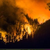 Incendios en la Patagonia: piden declarar la emergencia ambiental en las zonas afectadas por el fuego