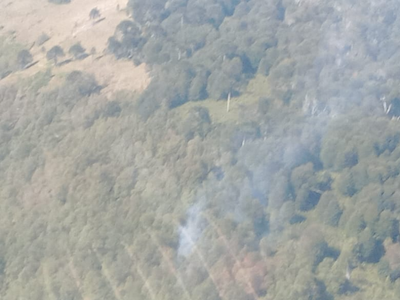 Se registraron dos focos de incendios en la zona norte del Parque Nacional Lanín