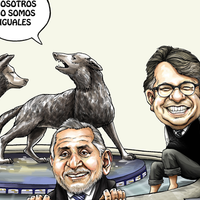 Coyotes