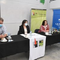En La Pampa quieren generar energía eléctrica a partir de biomasa