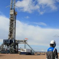 Petróleo, eficiencia y escala: la apuesta de Horacio Marín para llevar a Vaca Muerta al mundo