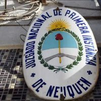 El espacio La Libertad Avanza de Neuquén obtuvo el reconocimiento provisorio de la Justicia