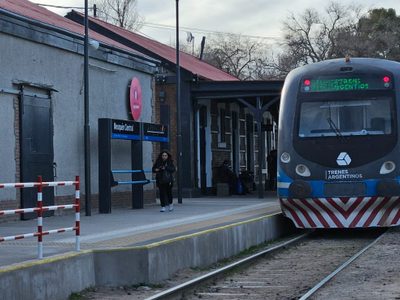 Elecciones PASO: subirse al colectivo o al Tren del Valle será gratis
