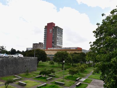 UNAM lanza convocatoria para elegir nuevo rector; estos son los requisitos