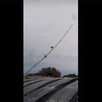Finalmente, pudieron derribar la antena del galpón incendiado en el Bajo de Neuquén