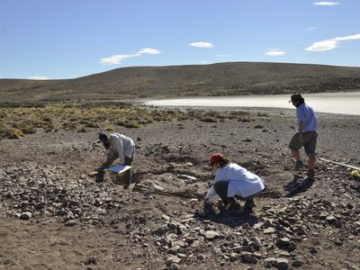 Sorpresa en la Patagonia por un gran hallazgo prehistórico