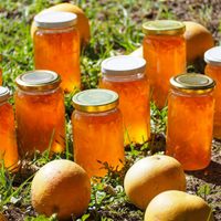 Mermelada inglesa: hacé esta receta deliciosa con la combinación más exquisita de las frutas estrella del invierno