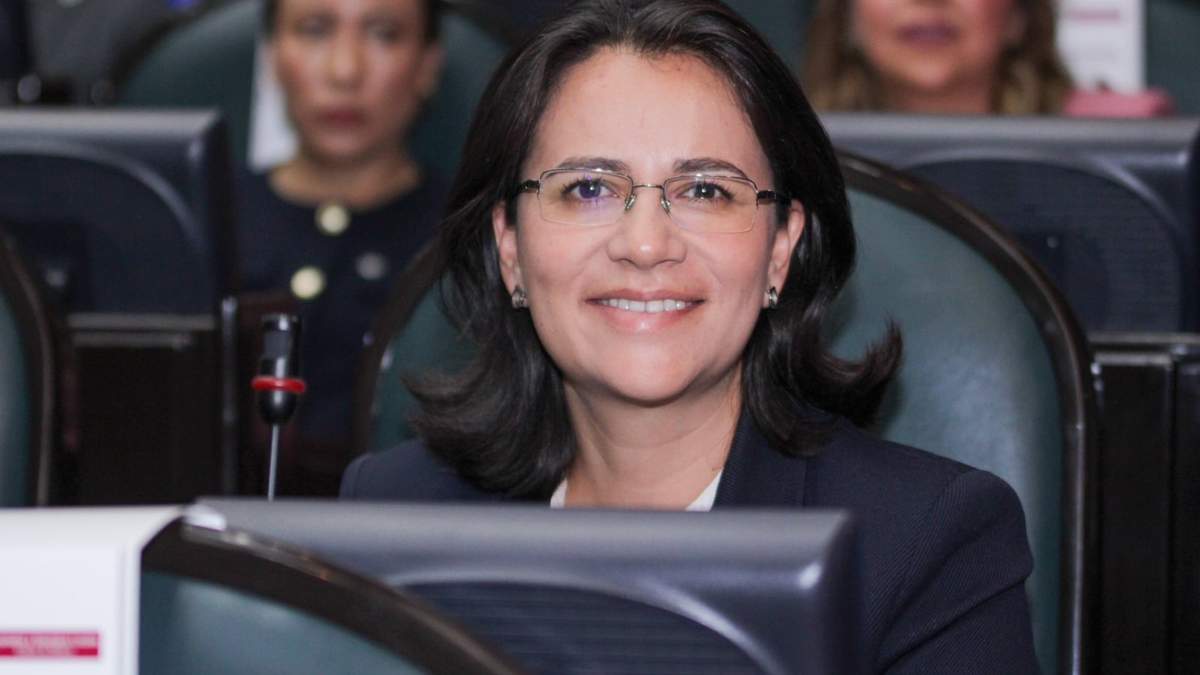 Diputada Paola Jiménez