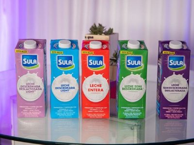 No gastes un peso: transformá las cajas de leche vacías en este adorno que venden en todas las tiendas de decoración