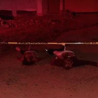 Pareja de turistas es ejecutada por no pararse en retén de policía comunitaria en Guerrero