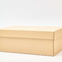 Desempolvá la caja de zapatos que te sobra en el placard: creá este hermoso canasto con toda la onda para tu pieza o baño